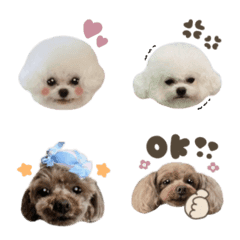 puni.hime.emoji