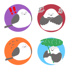 可愛☆北長尾山雀