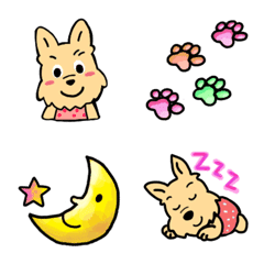 スコティッシュテリアのウィートンさん