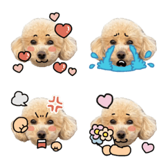 かわいいこむぎひめ
