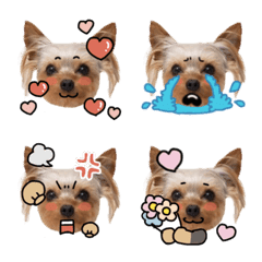 こじ絵文字