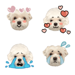むぎすけともちこ