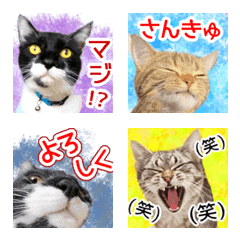 ぬこぬこオールスターズの可愛い絵文字