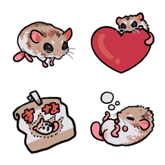 Fujimino/Fat-tailed Gerbil