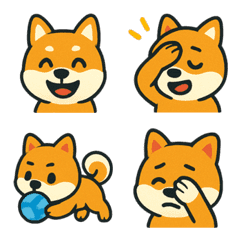 かわいい柴犬!