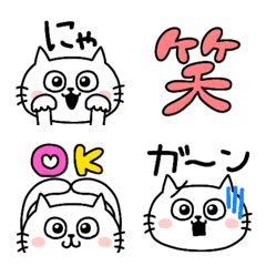 A cute cat with round eyes!