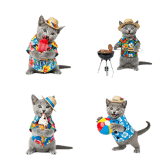 CAT GOOD  Emoji34