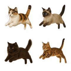 Koleksi Meong Lompat Ensiklopedia Kucing