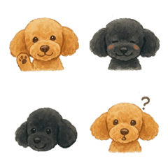 poodles