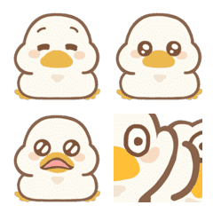 duck duck.