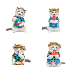 CAT GOOD  Emoji35