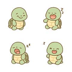 Sleepy Turtle Chill Time