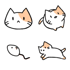 Life with Cats
