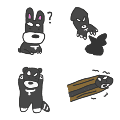 3 months old schnauzer 4