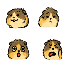Mud Egg the Guinea Pig