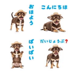 DOG GOOD  Emoji64
