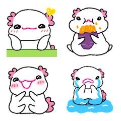 かわいい赤ちゃんウーパールーパー