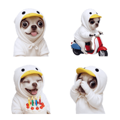 穿白鴨裝的吉娃娃表情符號