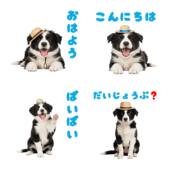 DOG GOOD  Emoji65