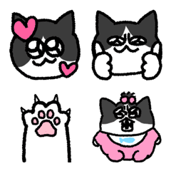 ハチワレボリューションねこ