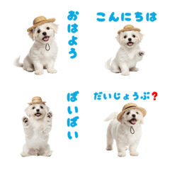 DOG GOOD  Emoji66