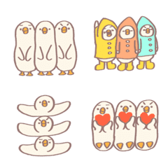 The daily life of three ducks