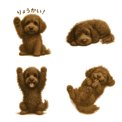 ลาบราดูเดิลในแต่ละวัน ตอนที่