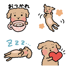 Always fluffy dog