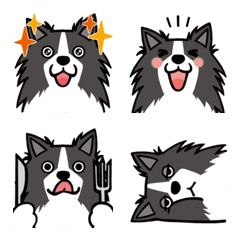 My One and Only Cat : BorderCollie Emoji