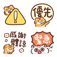 薯樂棉棉 奶糖奶貓進軍職場 ！