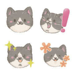 Fluffy Bicolor Cat Emoji