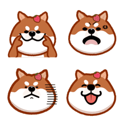 Strawberry's Daily Faces