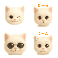 White Cat Emojis with Speech Bubbles