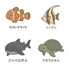 สัตว์ทะเลของโอกินาว่า