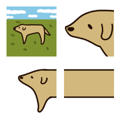 A laid-back, simple dog.