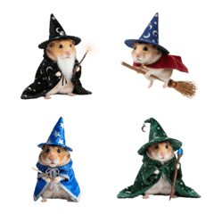 wizard hamster