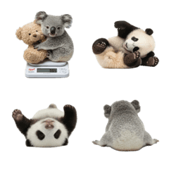 Baby Panda and Baby Koala Mix