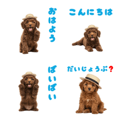 DOG GOOD  Emoji69
