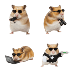 Spy Hamster