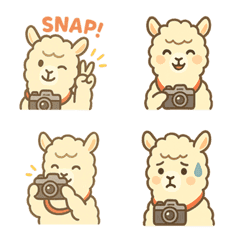 シャッター・パカ