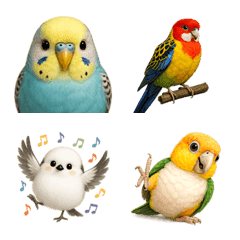 インコ＆オウムと世界のかわいい鳥図鑑