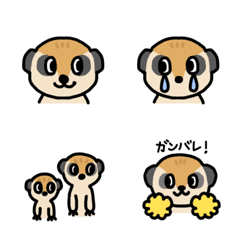 The meerkat, Shima LINE emoji