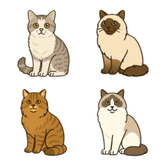Cat sticker emoji pack
