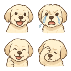 ฮาวานีส