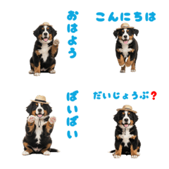 DOG GOOD  Emoji70