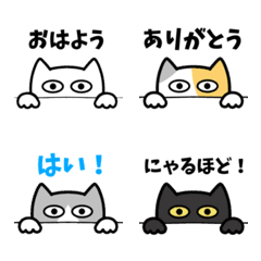 ハコネコ