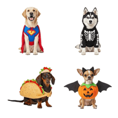 Dog Halloween Party