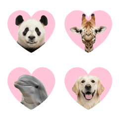 Lovely Pretty Animals