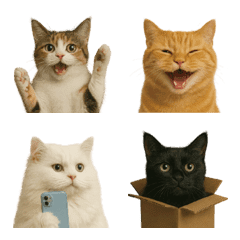 Adorable Real Cat Emojis for Daily Use