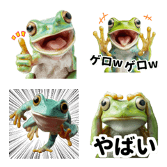 リアルカエルミーム2